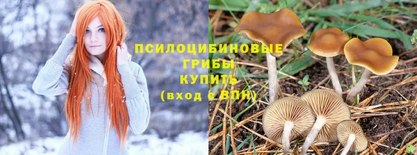 jwh Алзамай