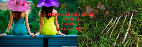 бошки Алексеевка