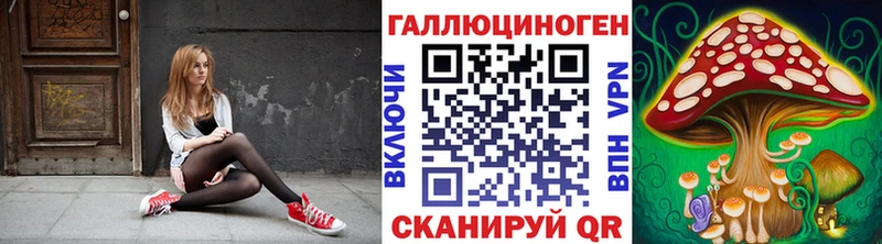 где продают   Юрьевец  Галлюциногенные грибы Psilocybe 